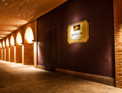 Anselmi