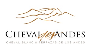 cheval des andes