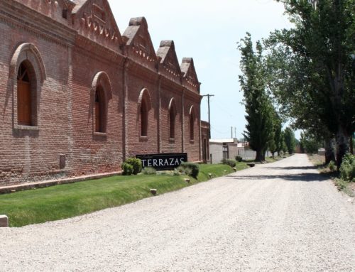 Terrazas de los Andes