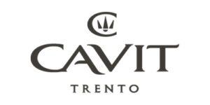 logo cavit cavit